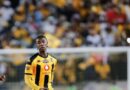 UZwane weChiefs unconywa yinkakha yeBafana 