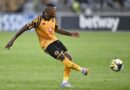 UMonyane akayekeleli iphupho le-Afcon neWorld Cup