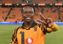 UKaze Uchaza Ukudideka Kokukhutjhwa KukaNdlovu