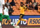Amakhosi Athola Igugu KuMfundo Vilakazi